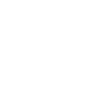 white star icon